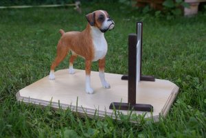 Boxer 1 Boxer 1