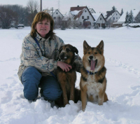 Unsere Hunde im Winter