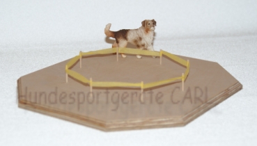 Miniatur Longieren