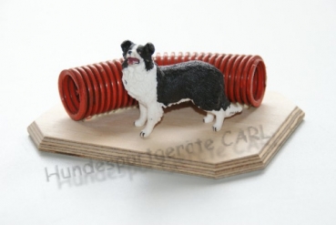 Border Collie mit Tunnel